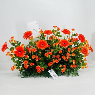 صورة مصغرة 3