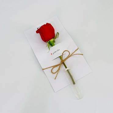 صورة مصغرة 3