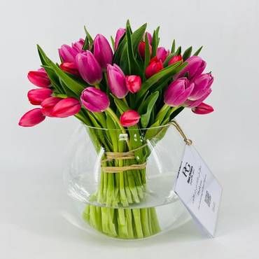 صورة مصغرة 3
