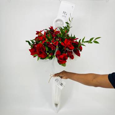 صورة مصغرة 2