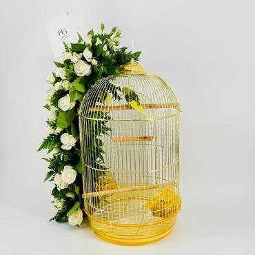 صورة مصغرة 2