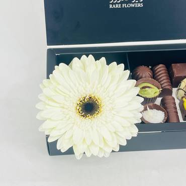 صورة مصغرة 2