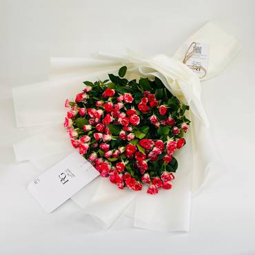 صورة مصغرة 3