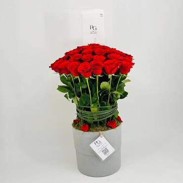 صورة مصغرة 2