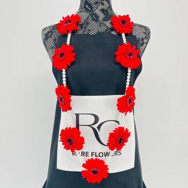 صورة مصغرة 1