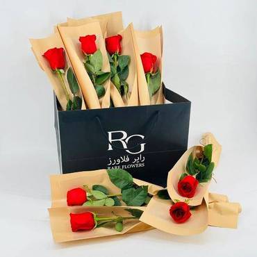 صورة مصغرة 2