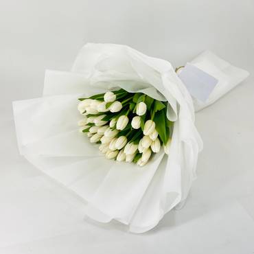 صورة مصغرة 3