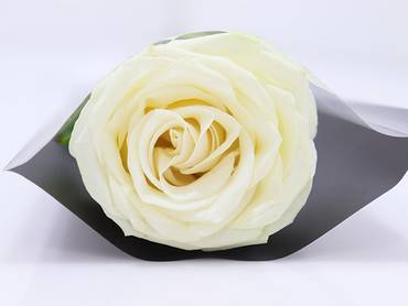 صورة مصغرة 2