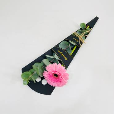 صورة مصغرة 2