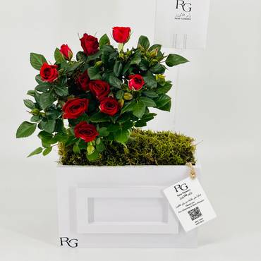 صورة مصغرة 4