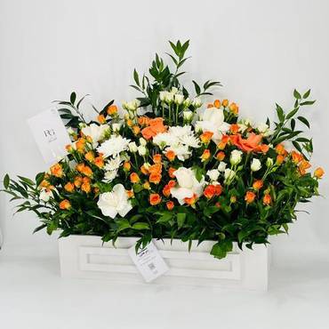 صورة مصغرة 3