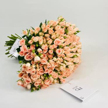 صورة مصغرة 1