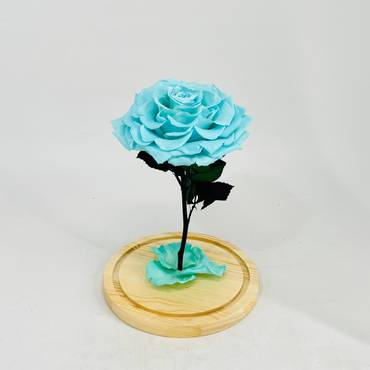 صورة مصغرة 3