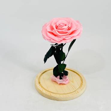 صورة مصغرة 3
