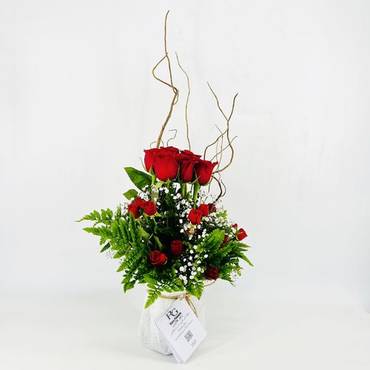 صورة مصغرة 3