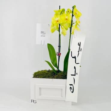صورة مصغرة 3