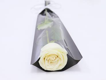 صورة مصغرة 4
