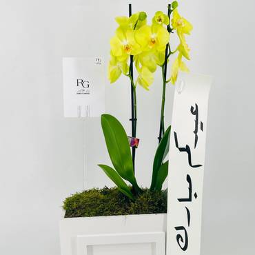 صورة مصغرة 4