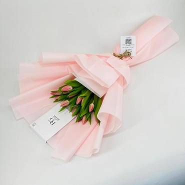 صورة مصغرة 2