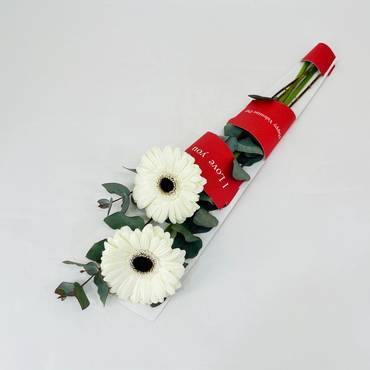 صورة مصغرة 2