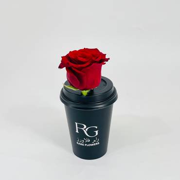 صورة مصغرة 3