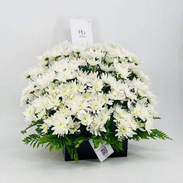 صورة مصغرة 2