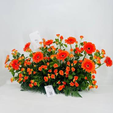 صورة مصغرة 2