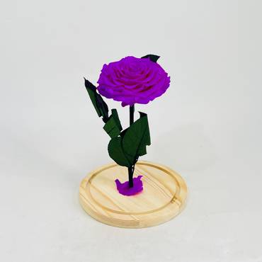 صورة مصغرة 3