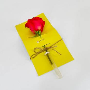 صورة مصغرة 3