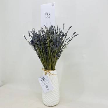 صورة مصغرة 3