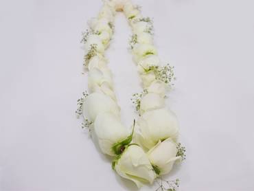 صورة مصغرة 3