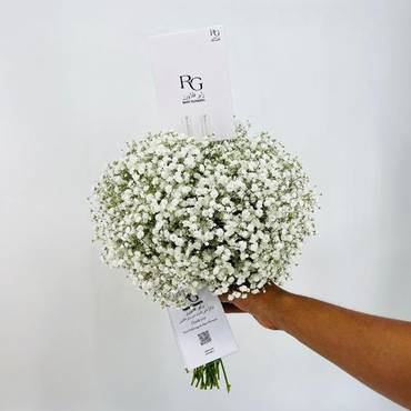 صورة مصغرة 3