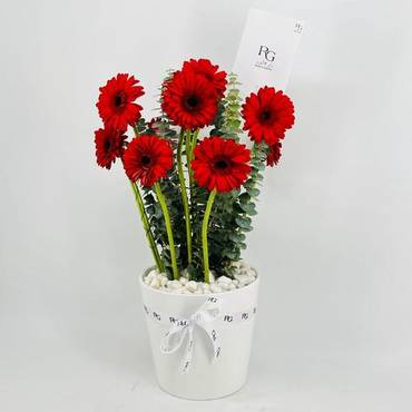 صورة مصغرة 2