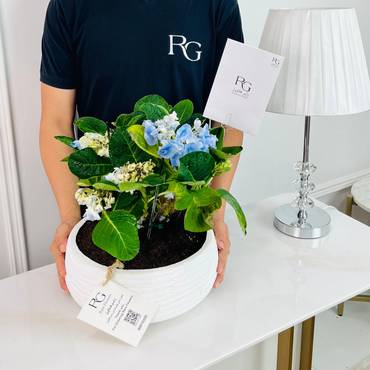 صورة مصغرة 2