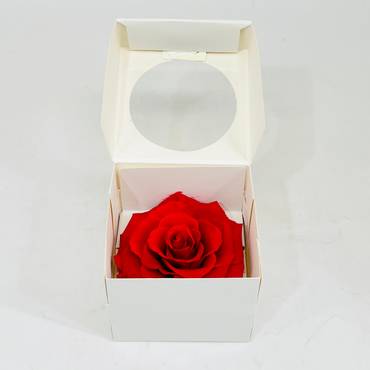 صورة مصغرة 2