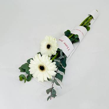 صورة مصغرة 2
