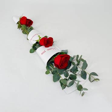 صورة مصغرة 1