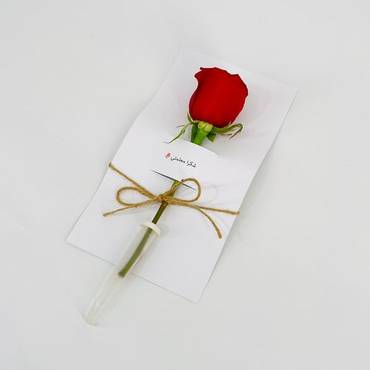 صورة مصغرة 2
