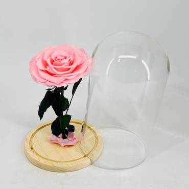 صورة مصغرة 2