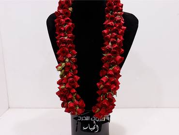 صورة مصغرة 1
