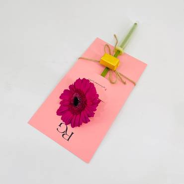 صورة مصغرة 3