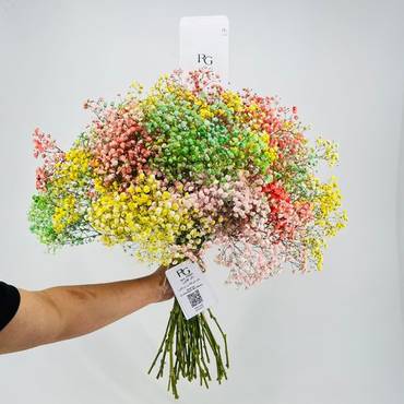 صورة مصغرة 3