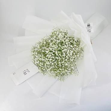 صورة مصغرة 3
