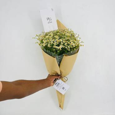 صورة مصغرة 3