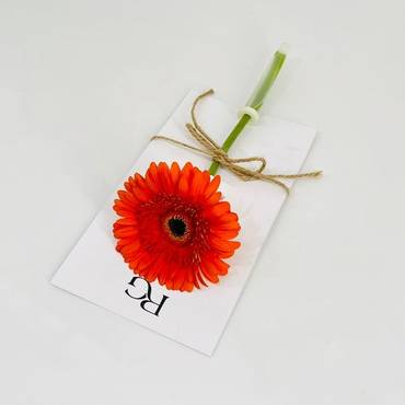 صورة مصغرة 3