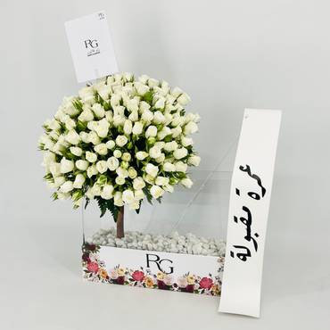 صورة مصغرة 3