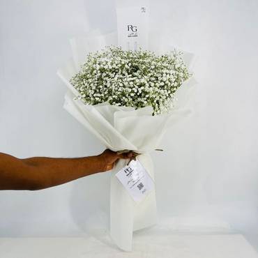 صورة مصغرة 3