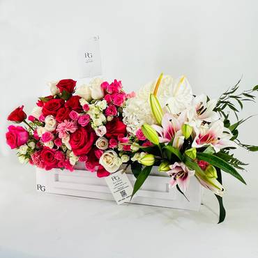 صورة مصغرة 3