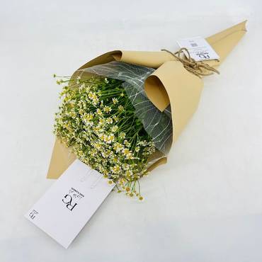 صورة مصغرة 2