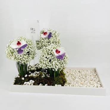صورة مصغرة 3